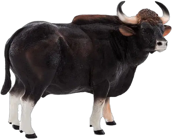 Bison Png Image Transparent Background Arts Mojo Gaur Goat Transparent Background