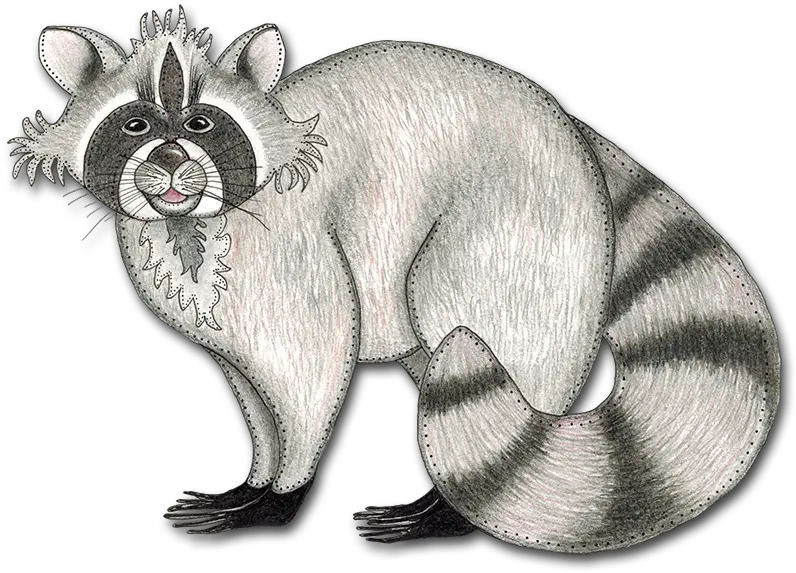 Download Drawing Raccoon Cool Library Full Size Png Procyon Raccoon Png