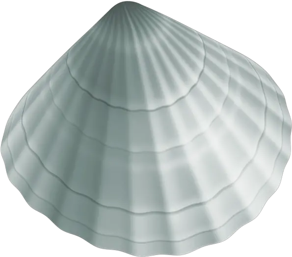 Sea Shell Png Clipart Image In 2020 Cockle Seashell Clipart Png