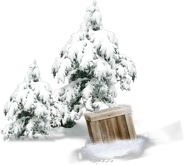 Winter Pine Wooden Box Png Download Pine Cover Snow Tree Transparent Snow Storm Png