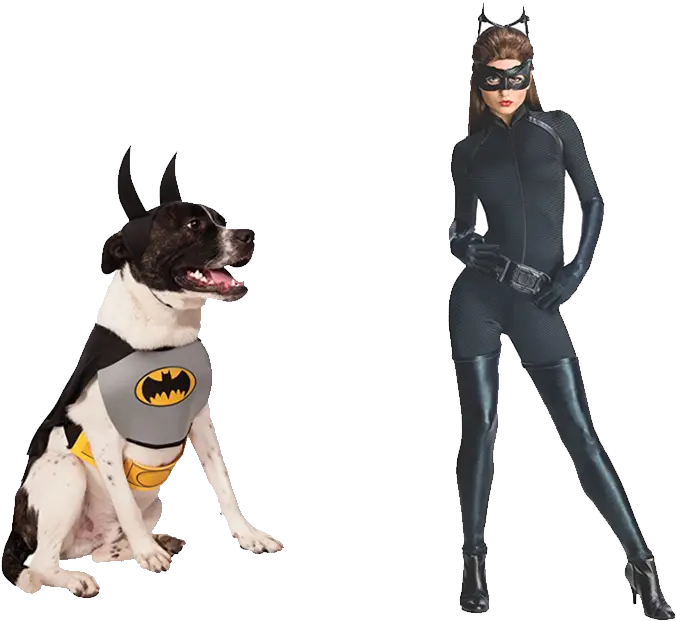 Catwoman 1200nobg Market Beyond Anne Hathaway Batman Costume Png Catwoman Png