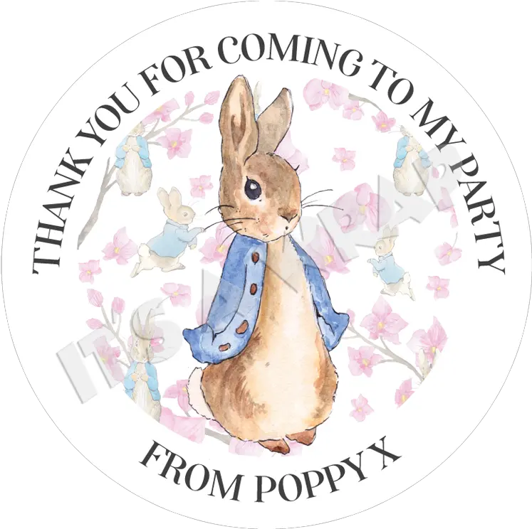 Peter Rabbit Birthday Thank Cartoon Png Peter Rabbit Png