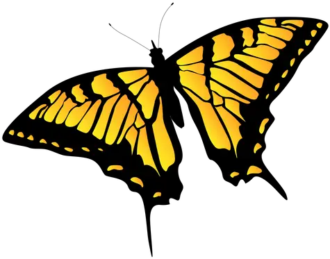 Yellow Garden Butterfly Design Transparent Png U0026 Svg Desenho De Borboletas Amarela Yellow Butterfly Png