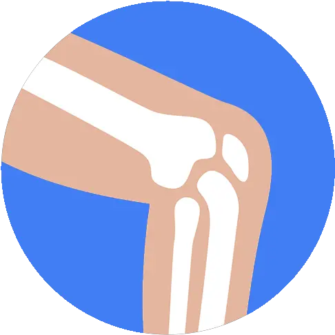 Orthopaedic Services The Orthopaedic Center Of Vero Beach Vertical Png Joint Pain Icon