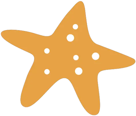 Sea Star Fish Sea Star Vector Png Sea Star Png