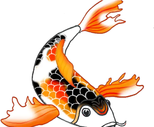 Koi Fish Clipart Draw In Color Koi Fish Clipart Png Fish Clipart Png