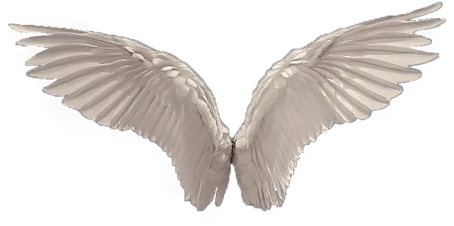 Angel Wings Png Photos Transparent Background Angel Wings Png Wing Png