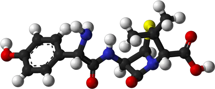 Fileamoxicillin 3dballspng Wikidoc Amoxicillin 3d Molecular Structure Balls Png