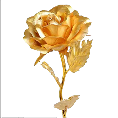 Golden Rose Png Download Image Arts Transparent Golden Rose Png Yellow Roses Png