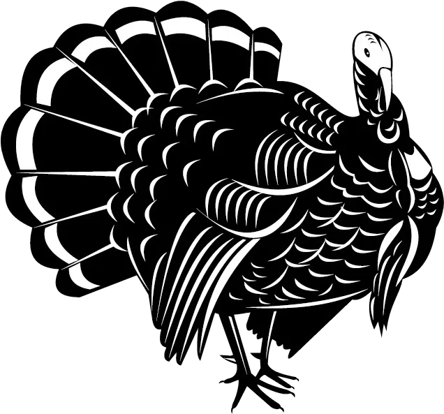 Png Image With Transparent Background Turkey Vector Turkey Clipart Transparent Background