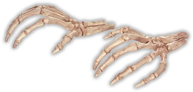 Bone Hands Png Picture Transparent Skeleton Hand Png Skeleton Hand Png
