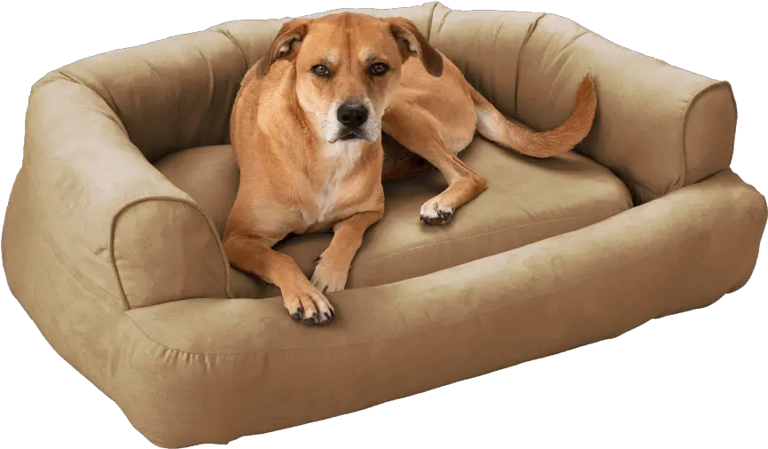 Snoozer Luxury Sleeper Sofa With Microsuede Dog Beds Tiendas De Remate De Amazon En Mexico Png Dog Buddy Icon