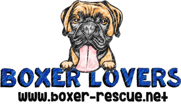 Freedom Rides Boxerloversrescue Png Boxer Dog Icon