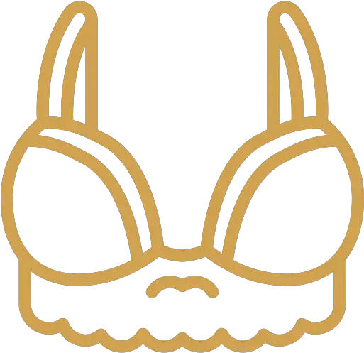 El Intimates U2013 Png Bra Icon