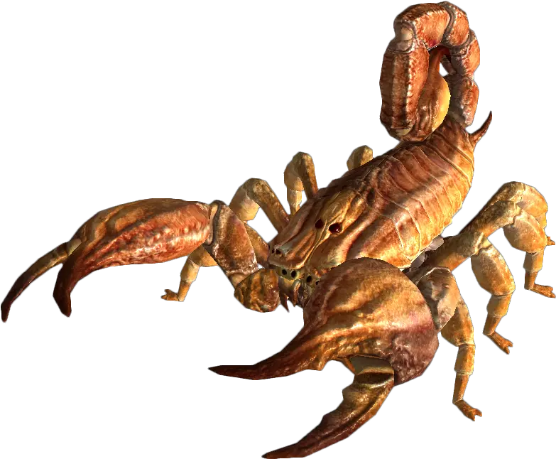 Scorpion Animal Transparent U0026 Png Clipart Free Download Ywd Albino Radscorpion Fallout 3 Scorpion Png