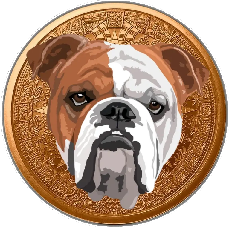 Bulldog Finance Token Bdog Coinhunt Olde English Bulldogge Png Bull Dog Icon
