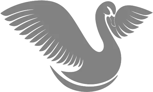 Send Your Messages Into The Future With Swansongs Swansongs Png Swan Icon