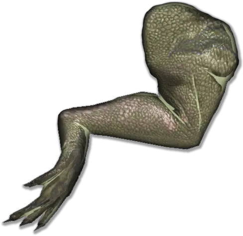 Frog Legs Mobile Official Ark Survival Evolved Wiki Snake Png Legs Png