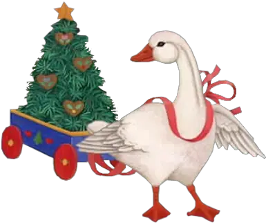 Download Hd Oiseaux Noel Goose Transparent Png Image Snow Goose Goose Transparent