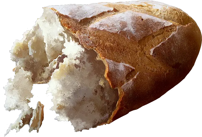 Bread Official Pathologic Wiki Snow Png Bread Png