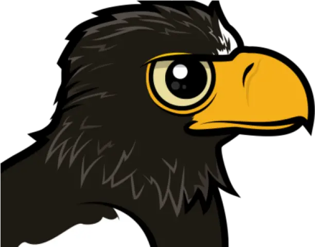 Stellers Sea Eagle Clipart Png Eagle Baby Cartoon Eagle Clipart Png