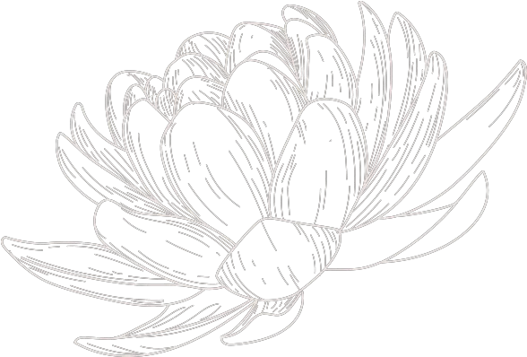 Digestion Best Water Lilies Png Blood Circulation Icon