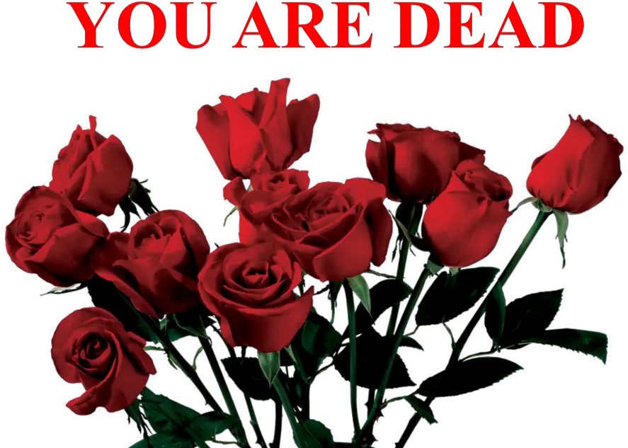 Roses Red Dead Sad Freetoedit Png Transparent Aesthetic Png Dead Rose Png