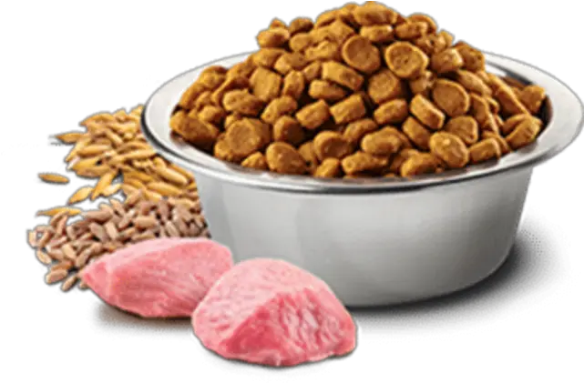 Dog Food Transparent Background Image For Free Download 2 Png Food Transparent Background