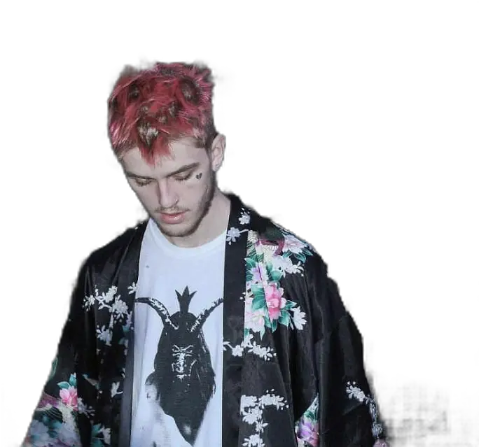 Download Lilpeep Peep Aesthetic Pink Lil Peep Red Hair Png Peep Png