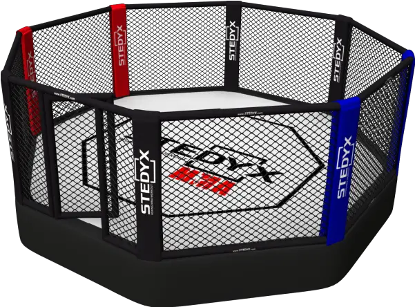 Premium Manufacturer Of Martial Arts U0026 Boxing Mma Cage Octagon Png Cage Transparent