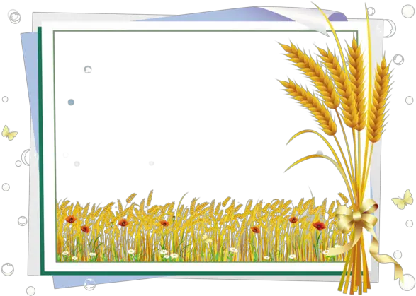 Labels Scraps Png Agriculture Page Border Grass Vector Png