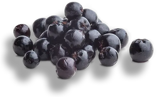 Aronia Source Of Healthy Antioxidants Berryactives Superfood Png Berry Png