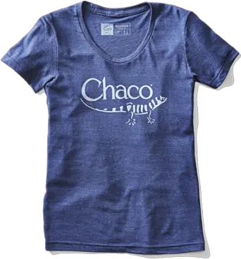 Retro Logo Tee Tees T Shirts U0026 Tank Tops Chacos Png Stitch Fix Logo