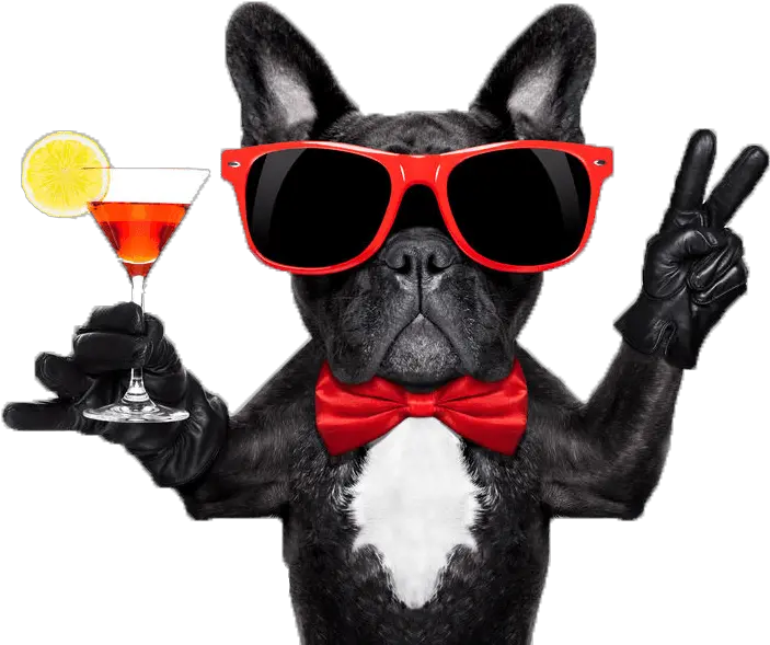 Happy Hour Story Tavern Yappy Hour Png Happy Hour Png