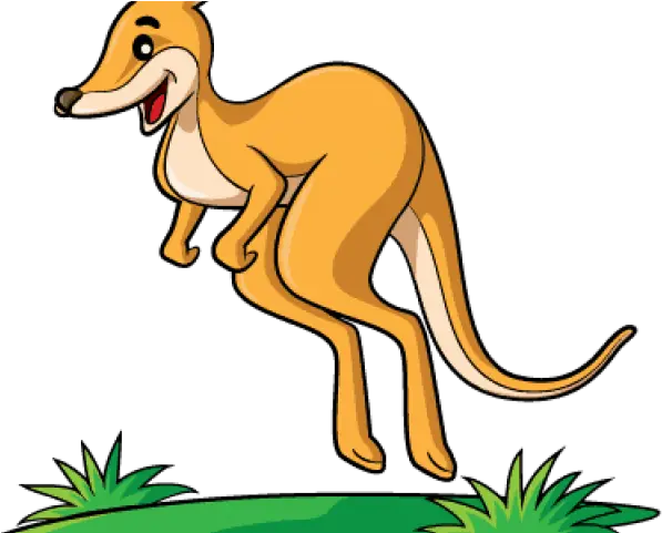 Kangaroo Clipart Png Kangaroo Clipart 4381374 Vippng Kangaroo Clipart Kangaroo Transparent Background