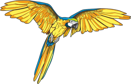 80 Free Parrot U0026 Bird Vectors Pixabay Macaw Art Png Parrot Transparent