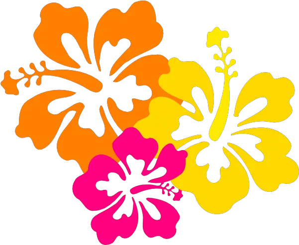 Free Hawaiian Flowers Png Download Hawaii Flower Clipart Hawaiian Flowers Png