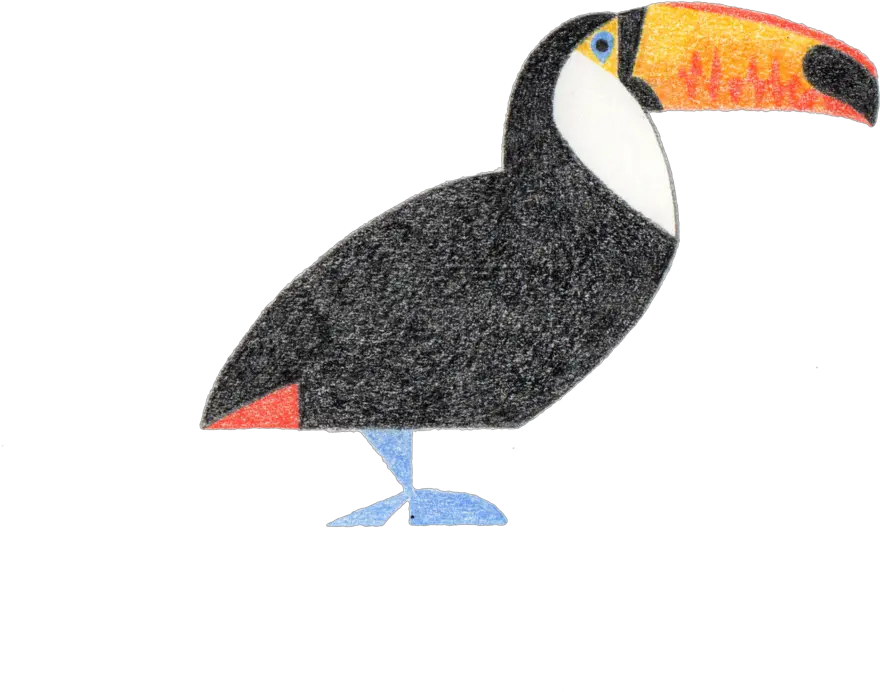 Toucan American Cyborg Png