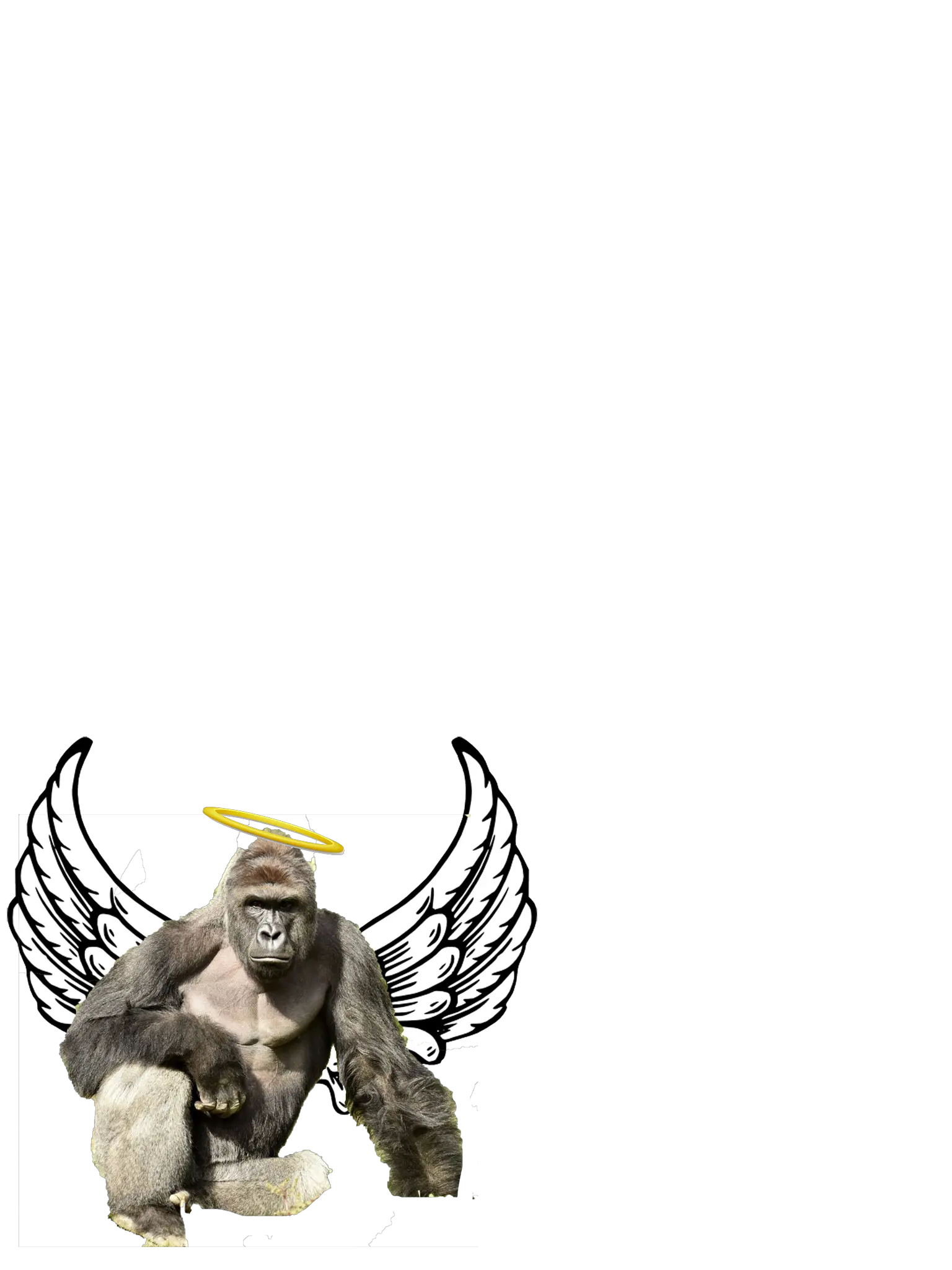 Swipe Send Harambe Heaven Angel Drawing Of Wings Png Harambe Transparent