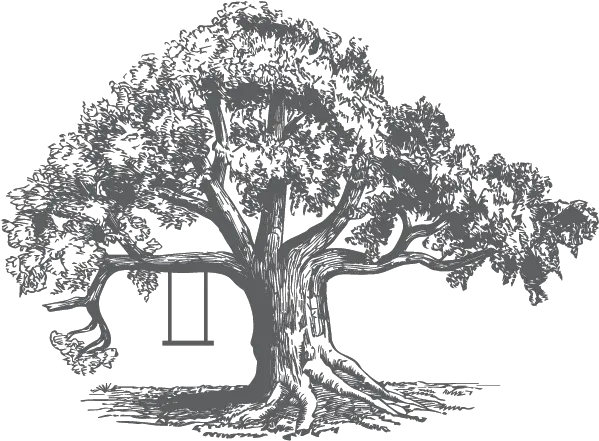 Tree Illustration Sycamore Tree Sketch Png Tree Illustration Png