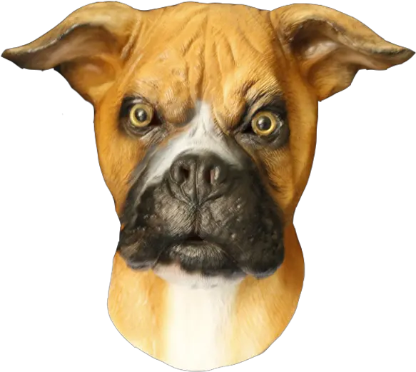 Dog Mask U0027boxeru0027 Png Boxer Icon