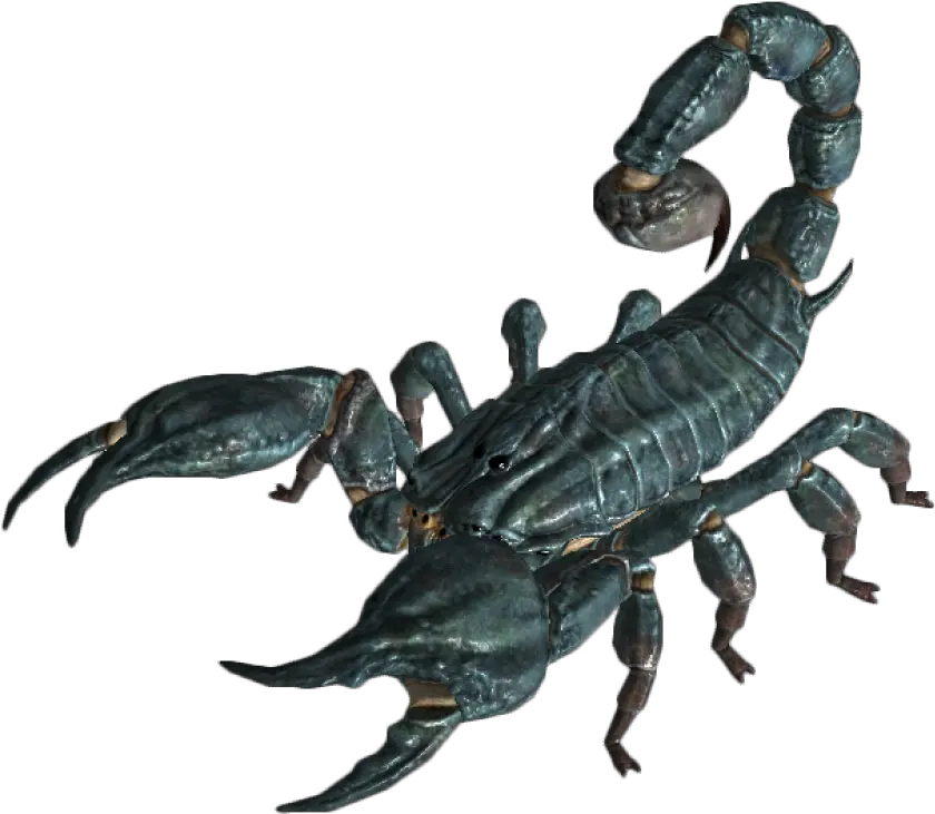 Scorpion Png Free Download 13 Fallout New Vegas Enemies Scorpion Png