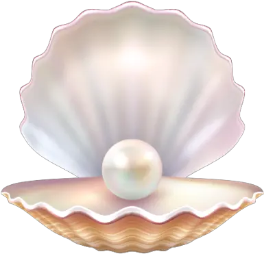 Index Of Assetsimagesicons Pearl Shell Png Clam Icon