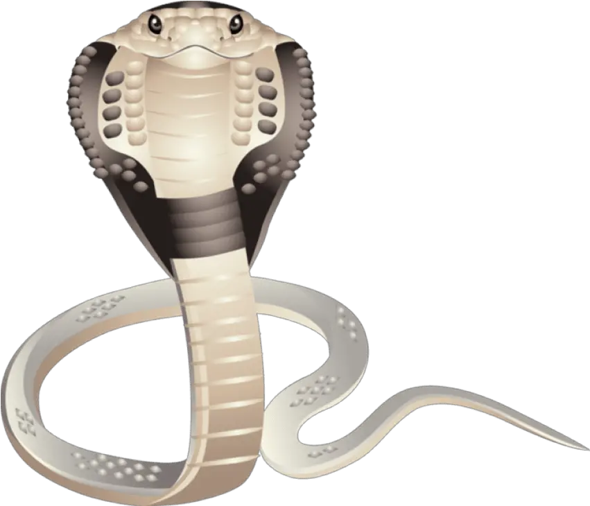 Free Transparent Png Images On King Cobra