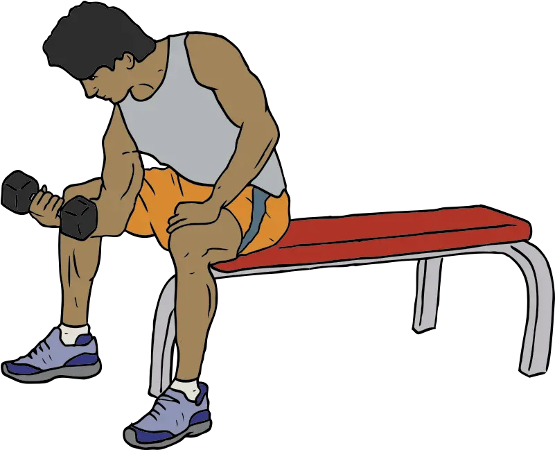 Download Free Png Dumbell Lifter Weight Lifting Clip Art Dumbell Png