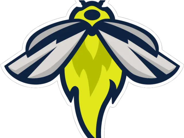 Firefly Clipart Night Fireflies Baseball Logo Png Firefly Png