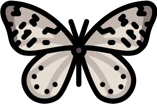 Butterfly Png Icon Butterfly Butterfly Png Images