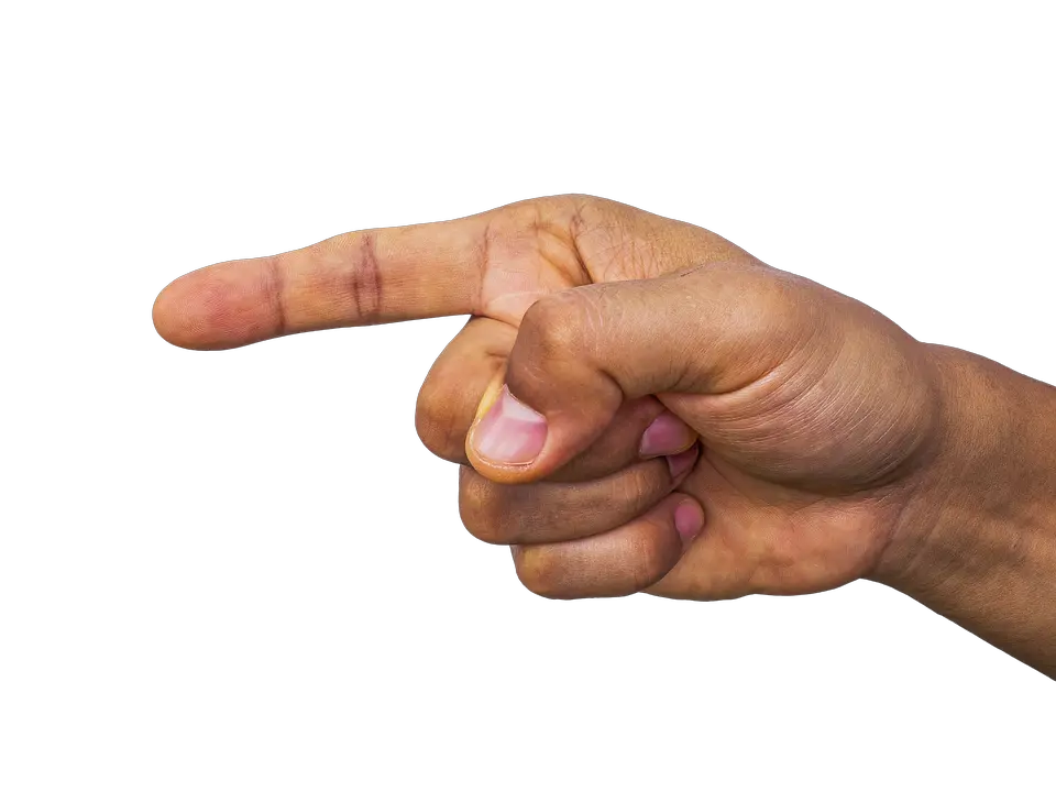 200 Free Pointing Hand U0026 Finger Images Pixabay Because I Said No Png Hand Transparent