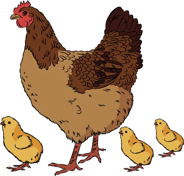 Hen Vector Mother Transparent U0026 Png Clipart Free Download Ywd Chicken And Chick Clip Art Chicken Clipart Transparent Background