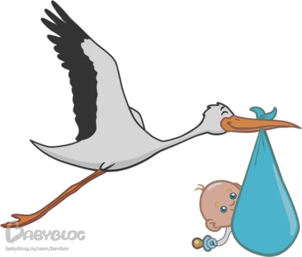 Png Image Collection Free Download Stork With Baby Png Baby Transparent Background